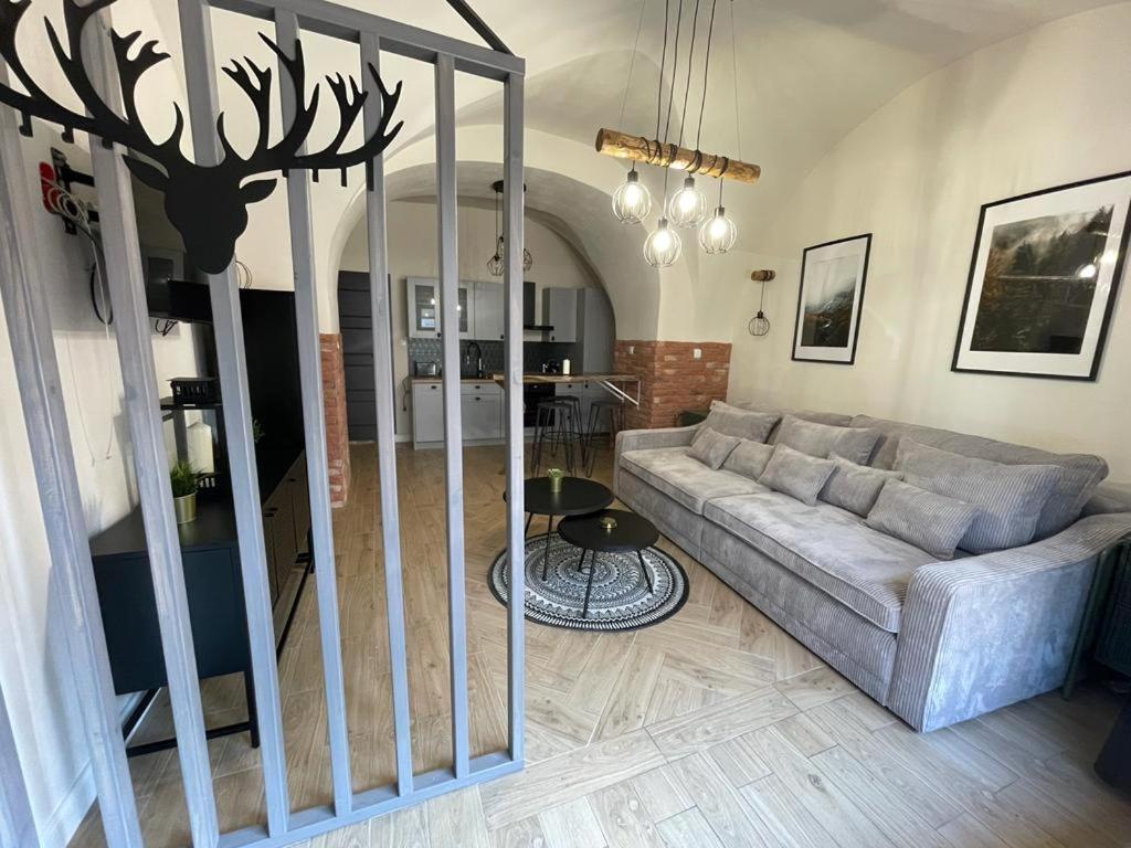 Studio Przy Klodzkiej Duszniki Zdrój Exteriör bild